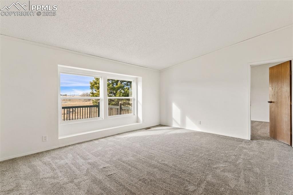 Image 18 of 50: Living room with new carpet