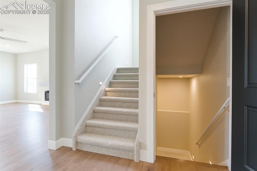 Image 19 of 50: Other