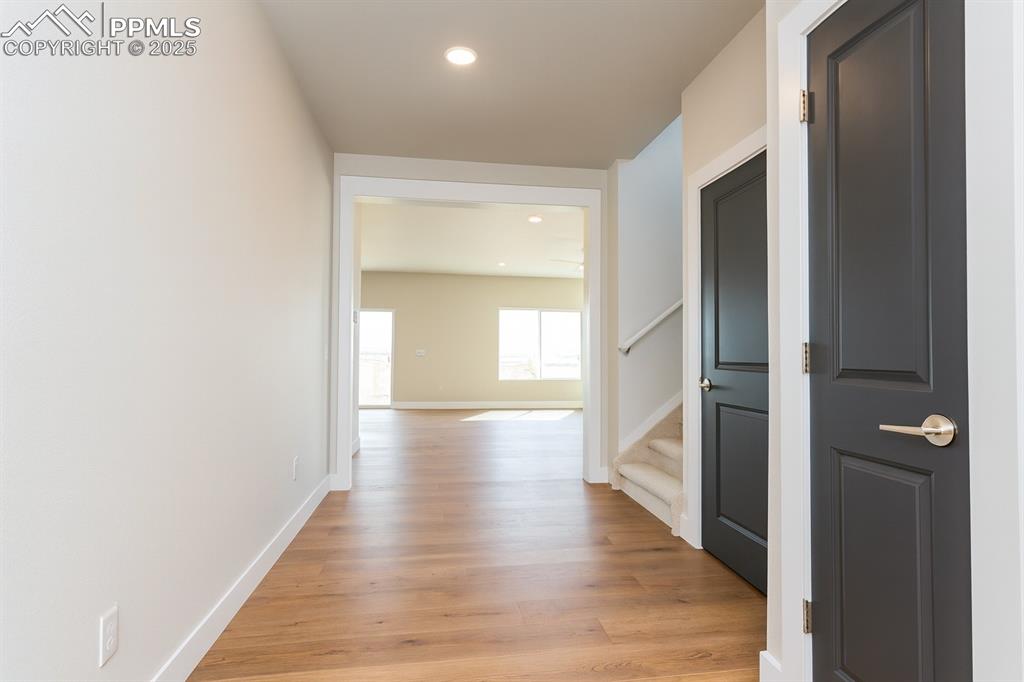 Image 2 of 50: Other