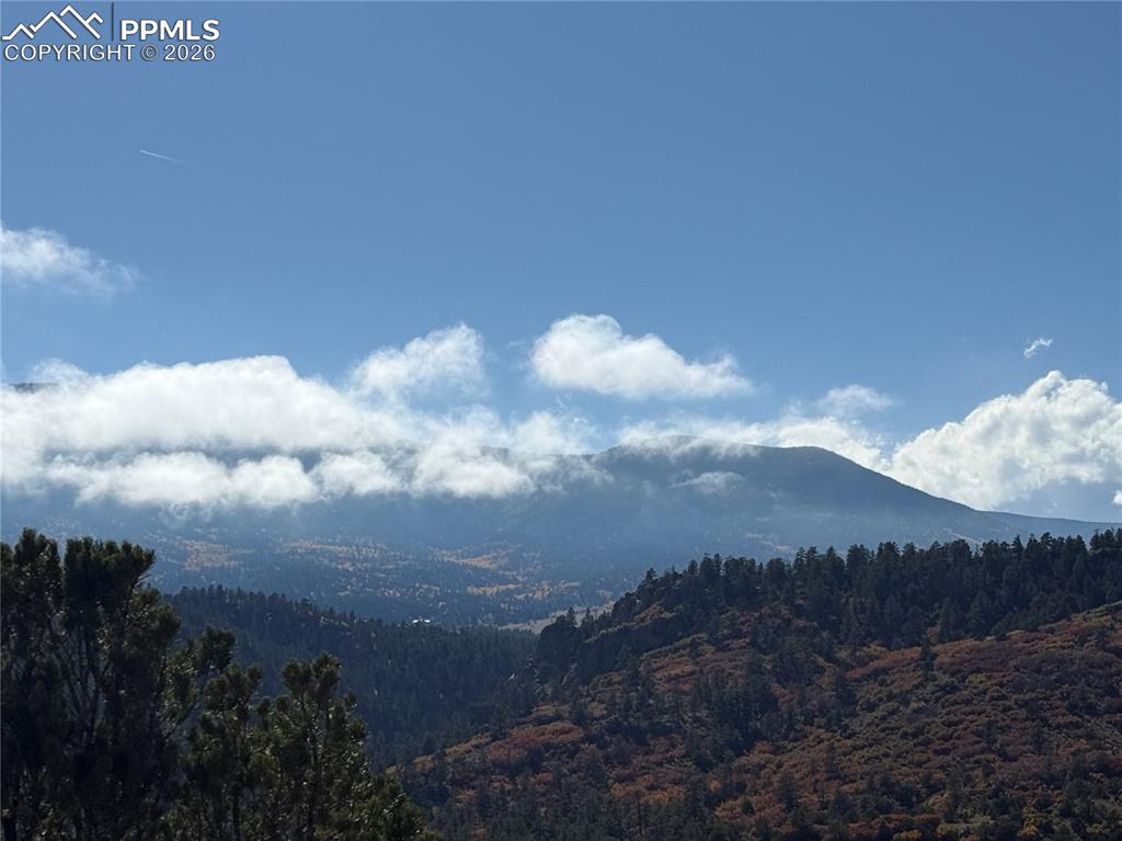 Image 11 of 20: View