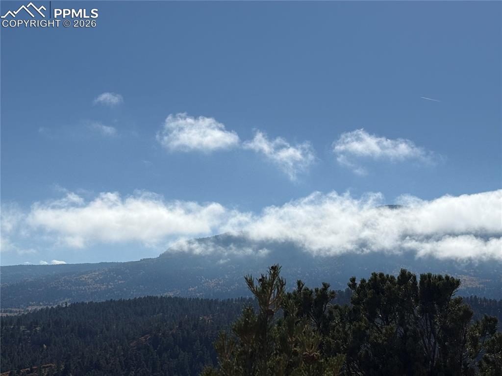 Image 12 of 20: View