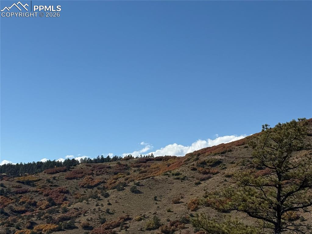 Image 13 of 20: View