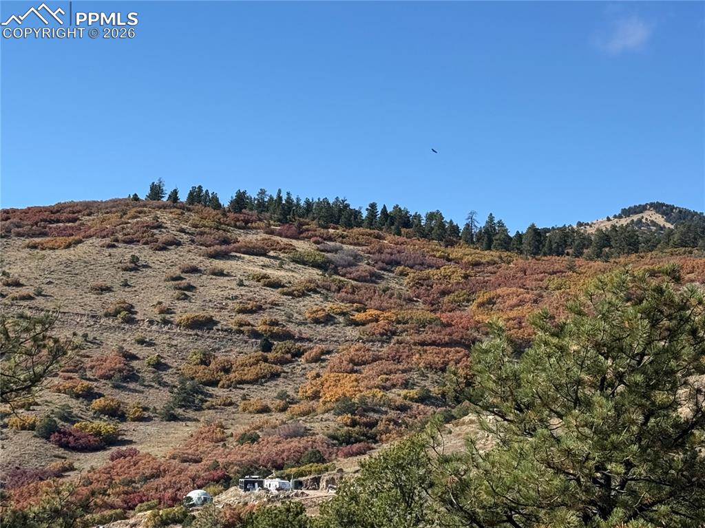 Image 14 of 20: Other