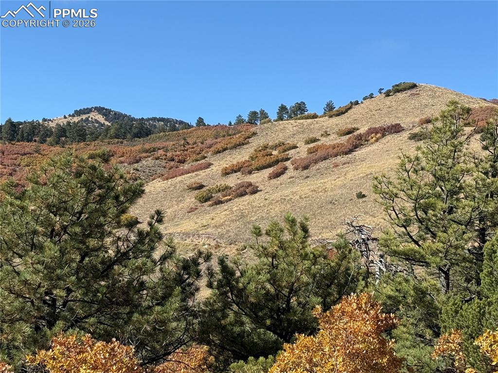 Image 15 of 20: View