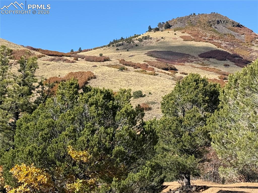 Image 16 of 20: View