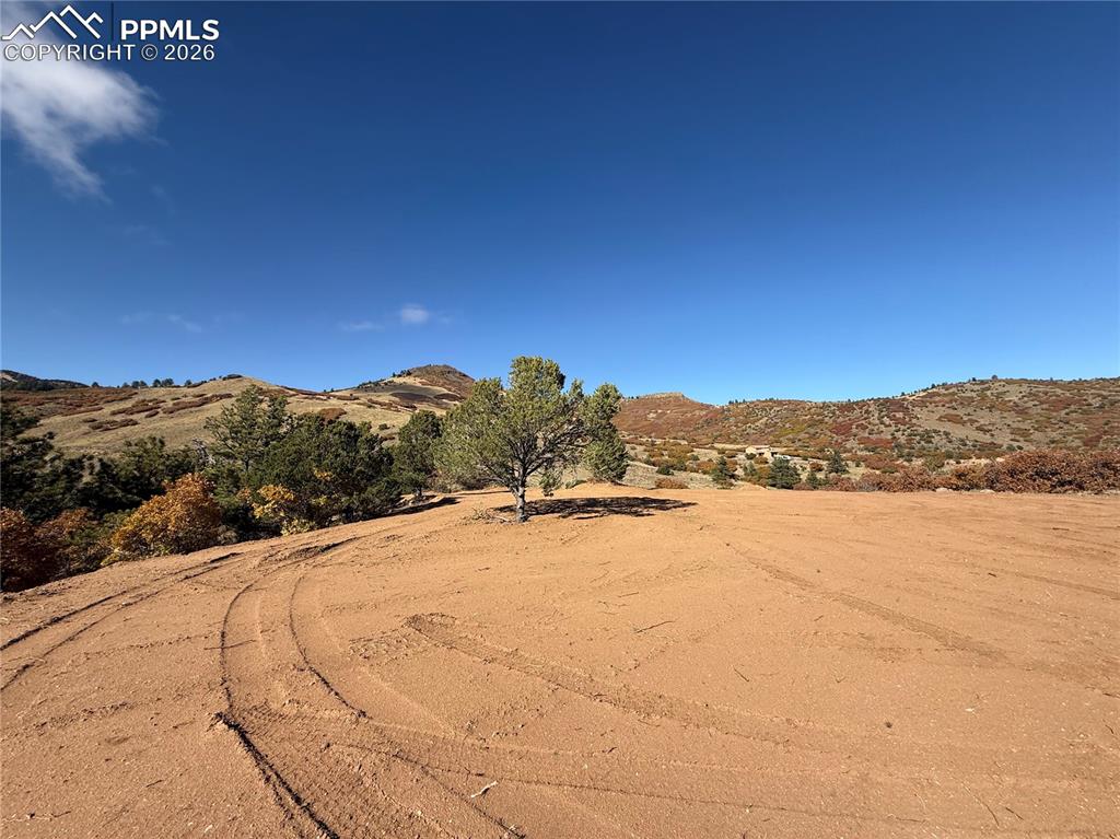 Image 17 of 20: Yard