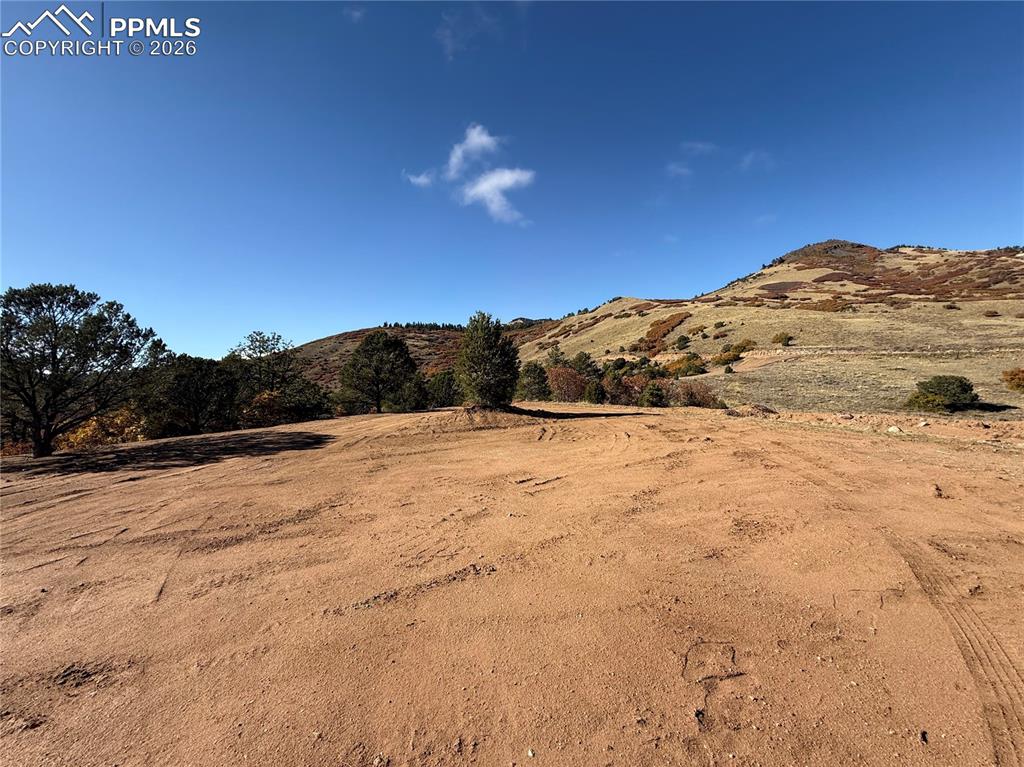 Image 18 of 20: Yard