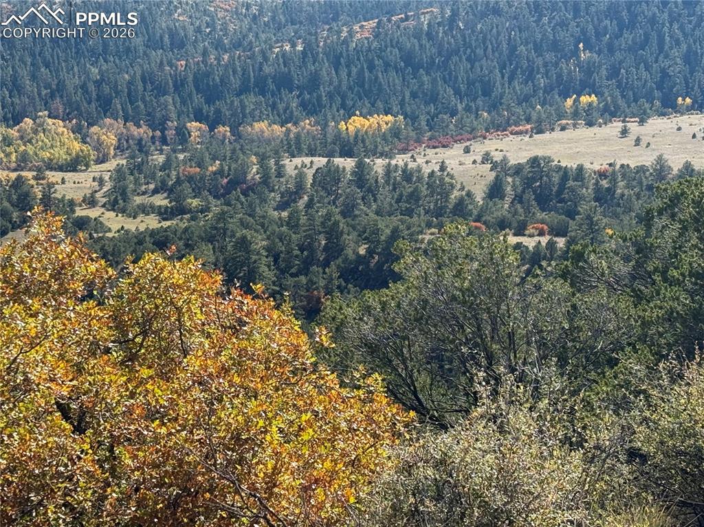 Image 8 of 20: Other