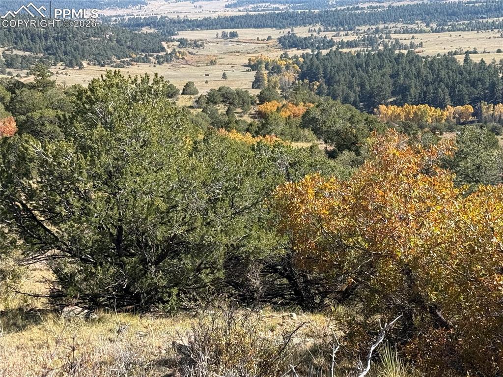 Image 9 of 20: Aerial View