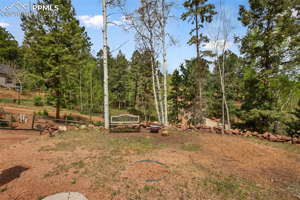 Image 5 of 36: View of yard