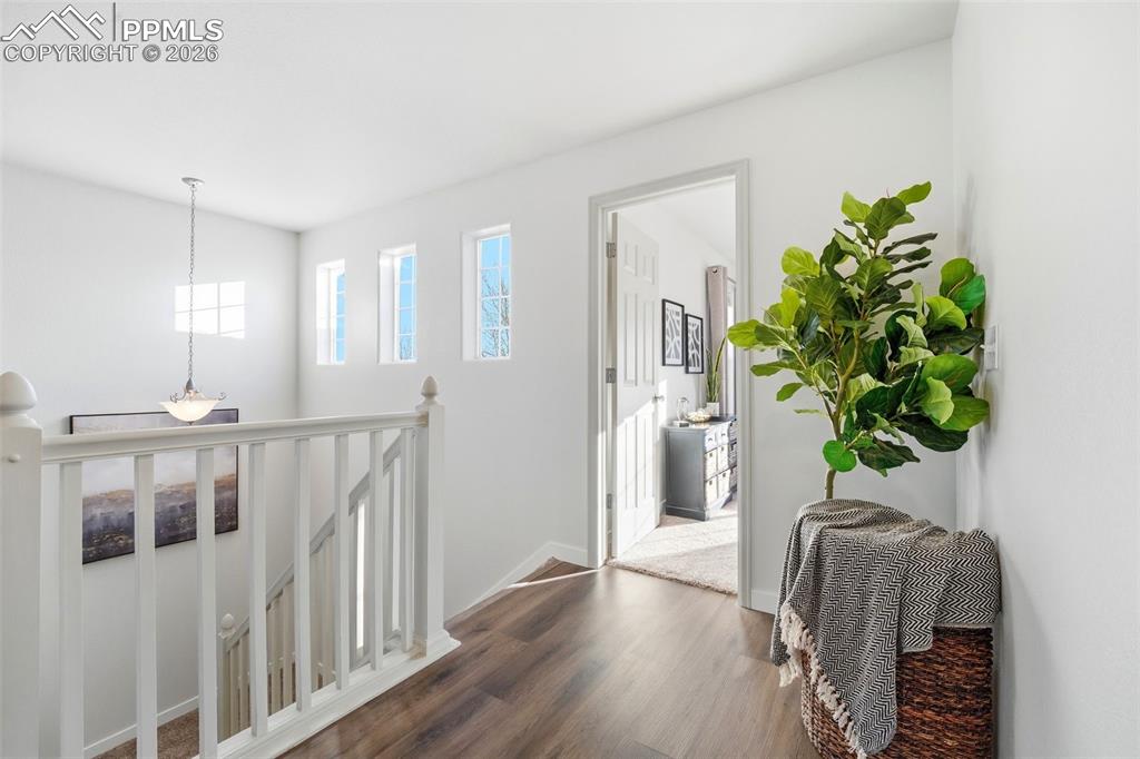 Image 27 of 41: Other