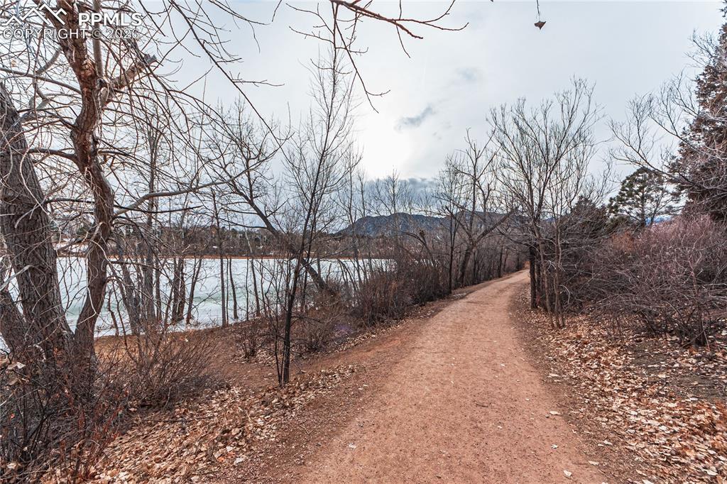 Image 34 of 35: No Description Available