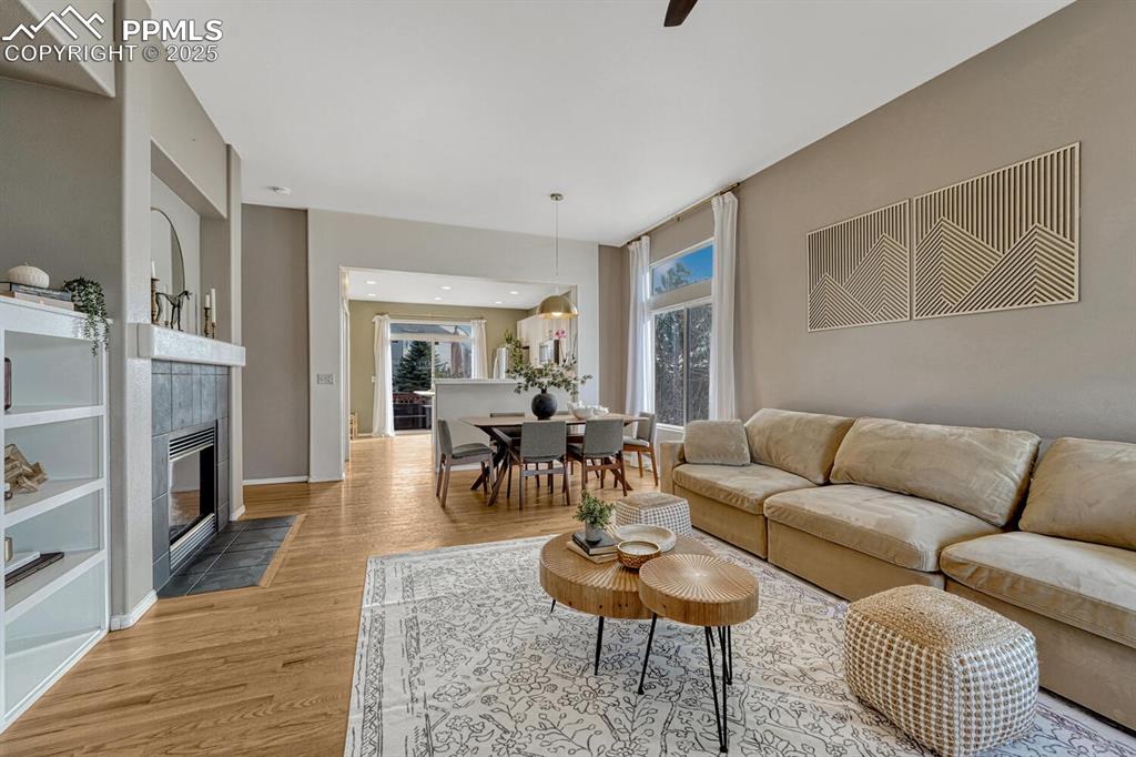 Image 3 of 47: Tons of natural light.