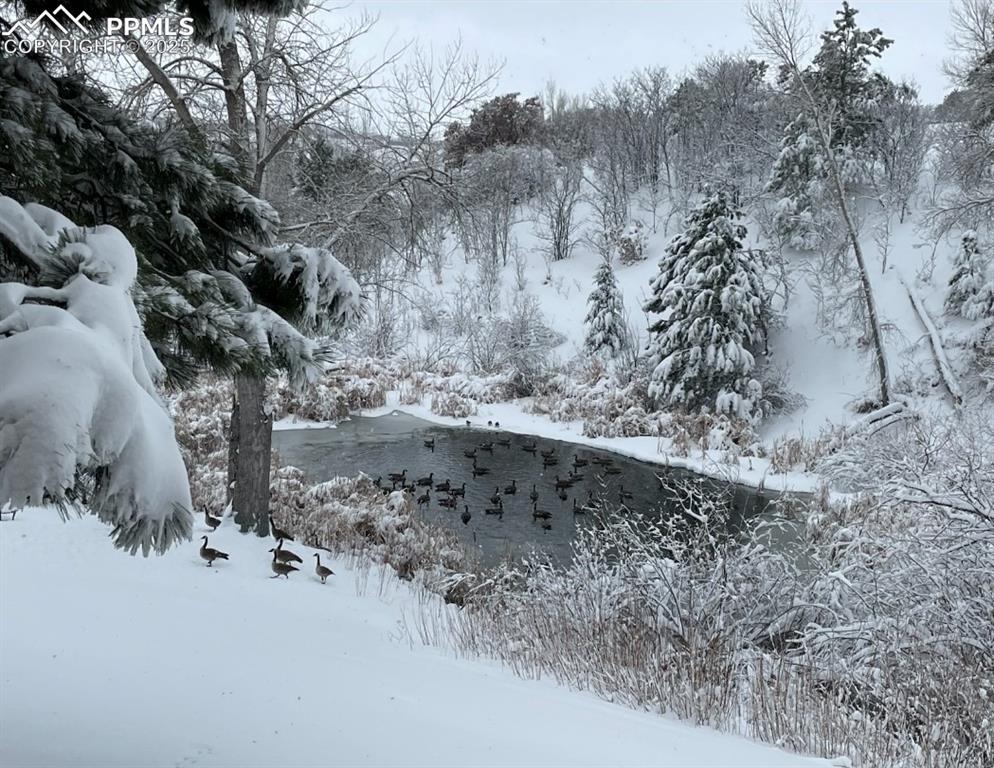 Image 43 of 48: the lake view in winter