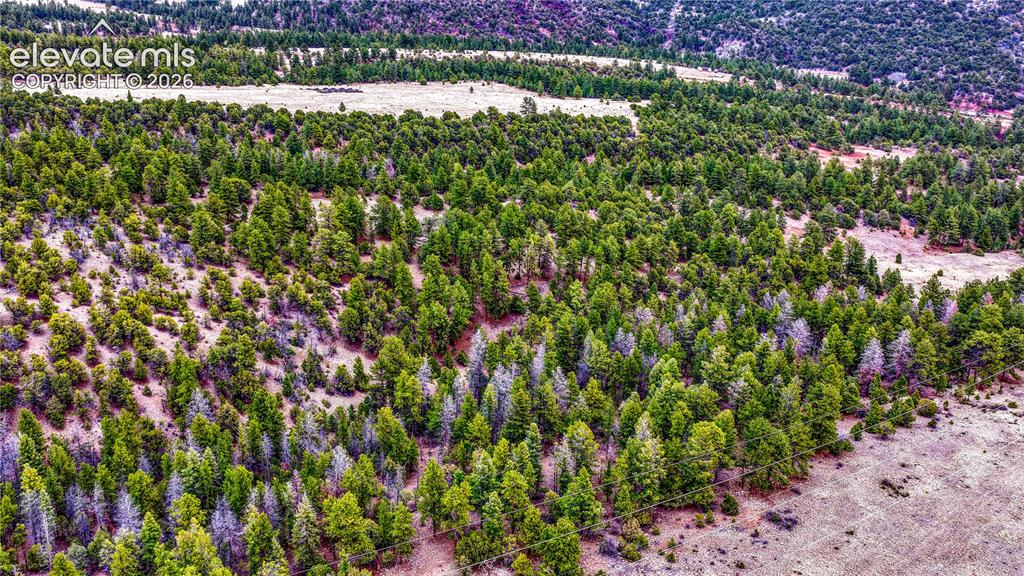 Image 40 of 48: Aerial View