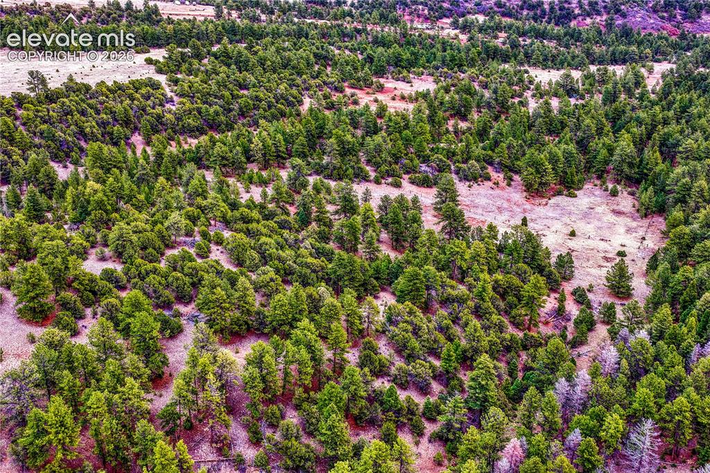 Image 41 of 48: Aerial View