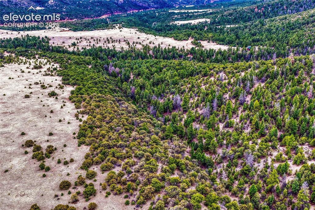 Image 43 of 48: Aerial View