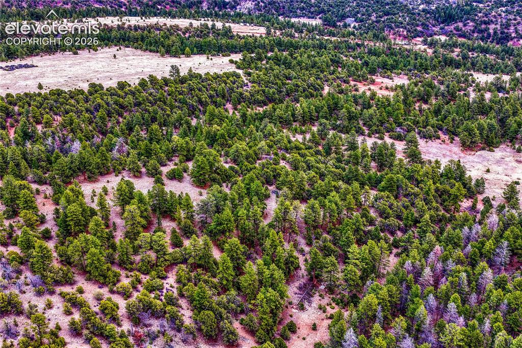 Image 44 of 48: Aerial View