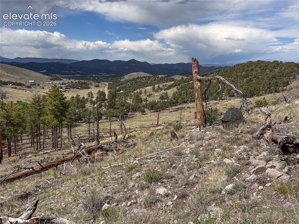 Caption: Gentle slope at bottom of lot, a few tall trees included on property.