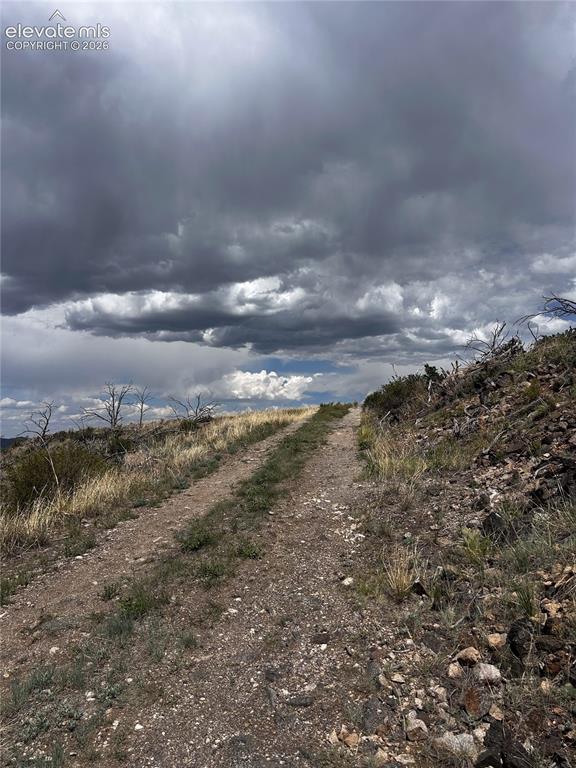 Image 3 of 13: Access road facing top of property.