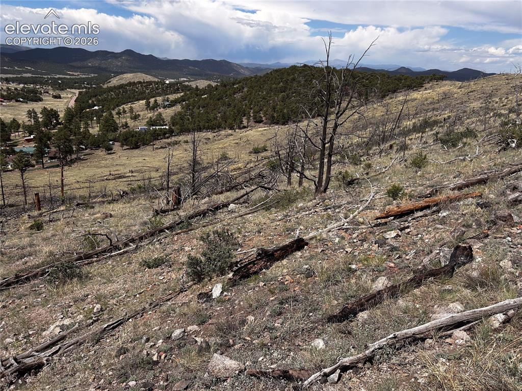 Image 7 of 13: Slope at the top of the property.