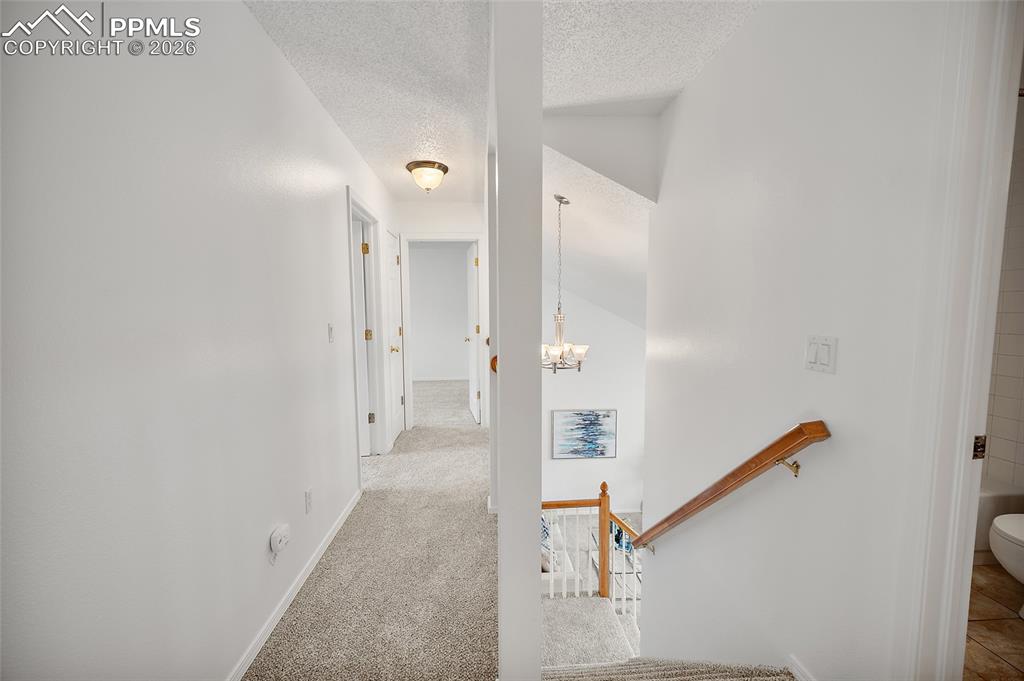 Image 29 of 49: No Description Available