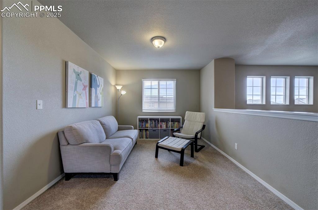 Image 24 of 46: Living area featuring carpet flooring, a textured ceiling, and a textured w