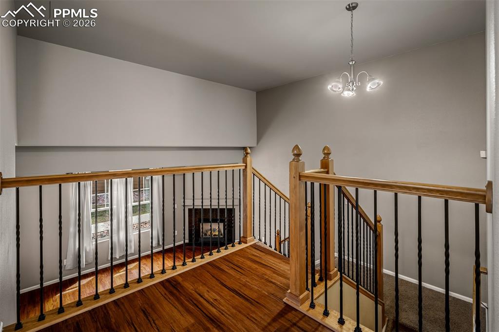 Image 6 of 48: Other