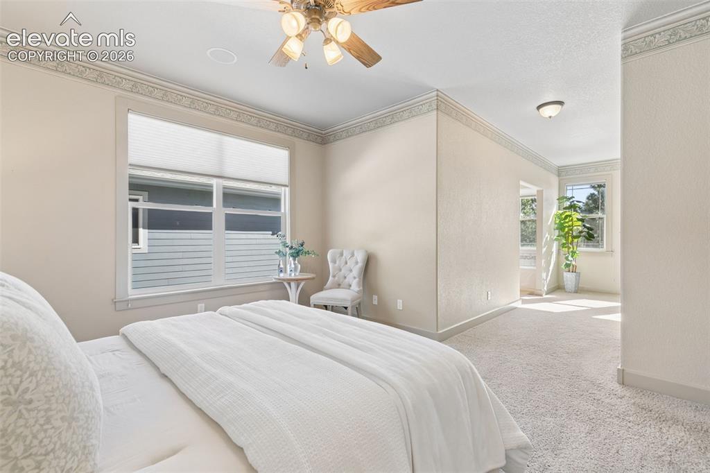 Image 13 of 29: Master Bedroom