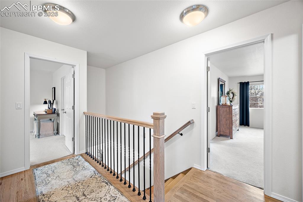 Image 32 of 50: Other