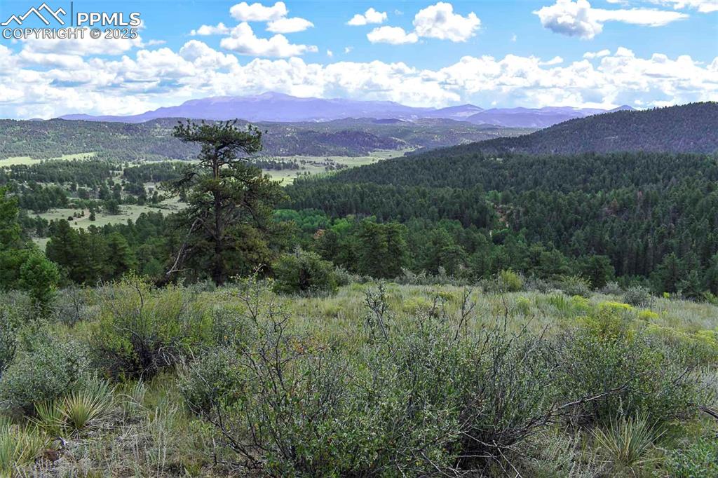 Image 10 of 34: View