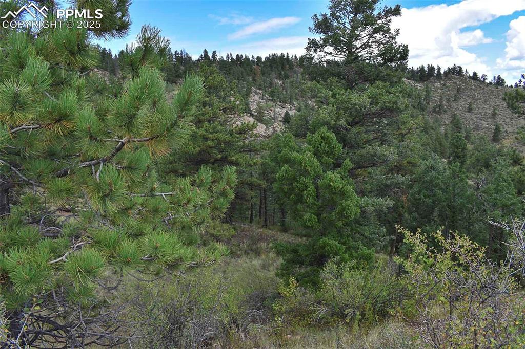 Image 12 of 34: Other