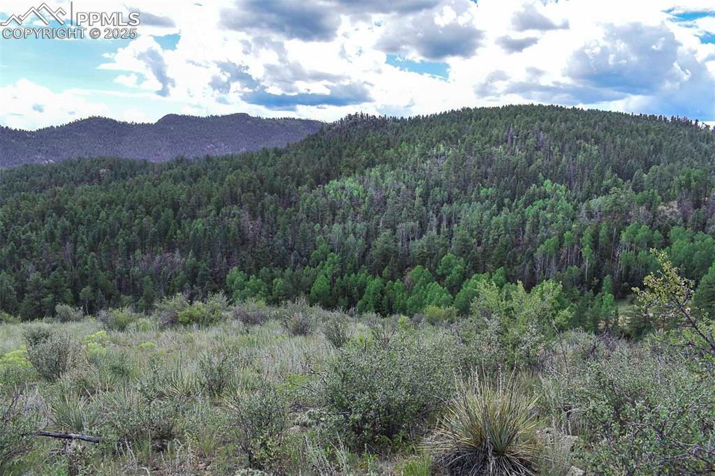 Image 13 of 34: View