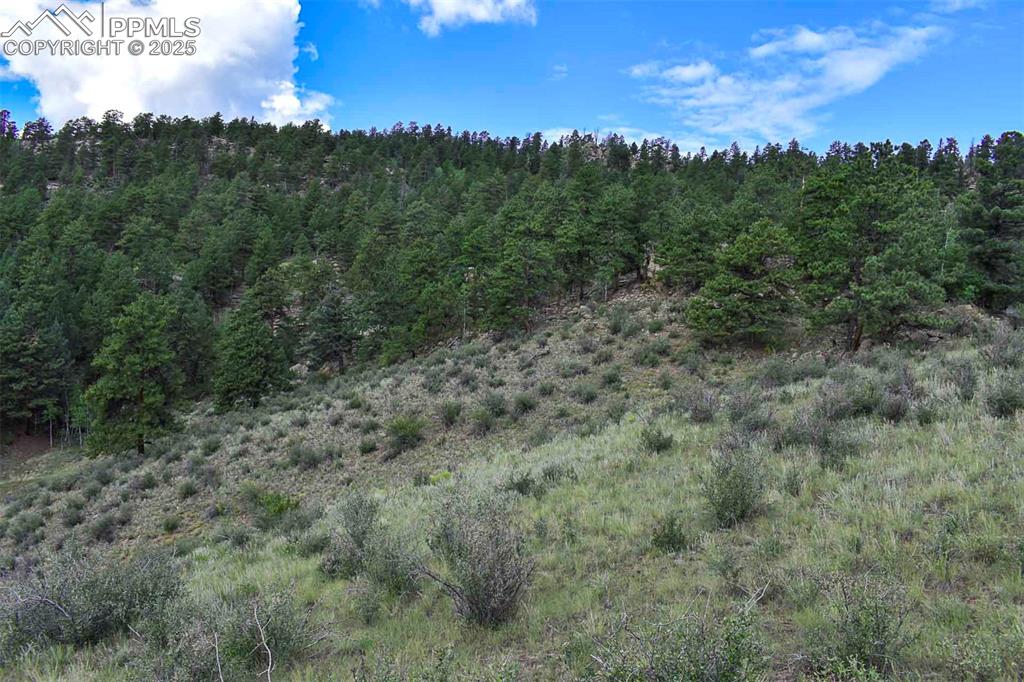 Image 14 of 34: Other