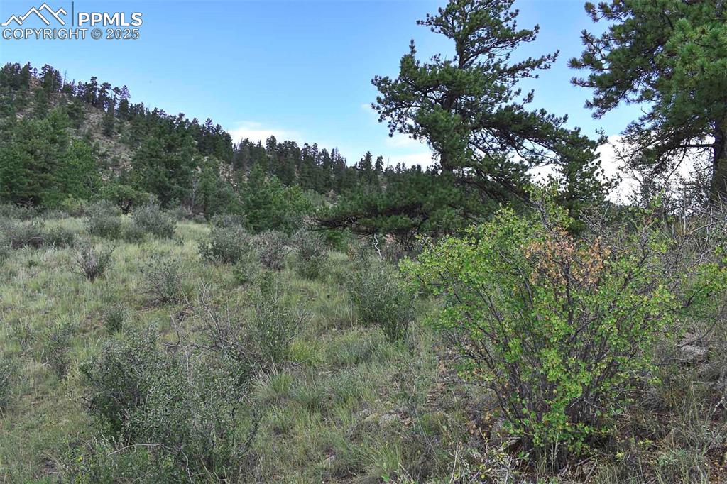 Image 15 of 34: Other