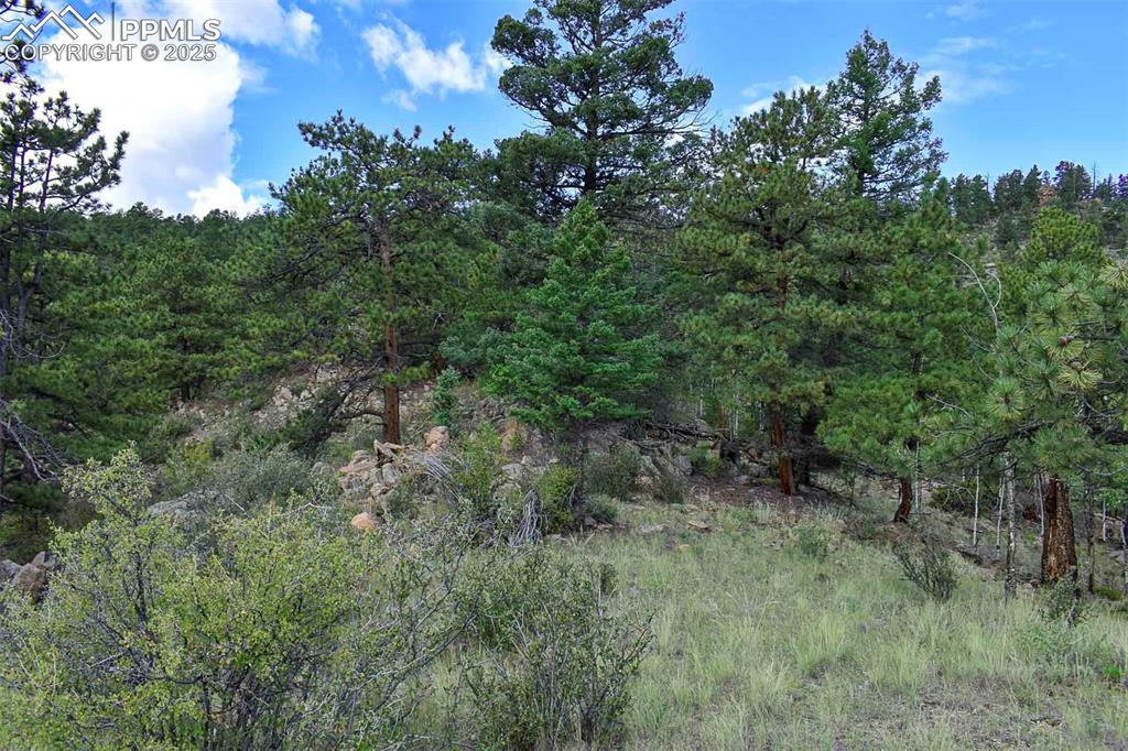 Image 16 of 34: Other