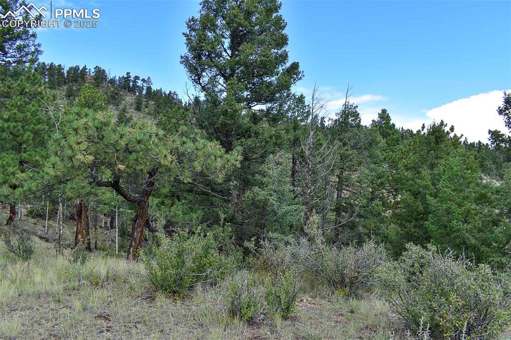 Image 17 of 34: Other