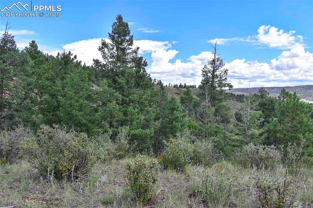 Image 18 of 34: Other