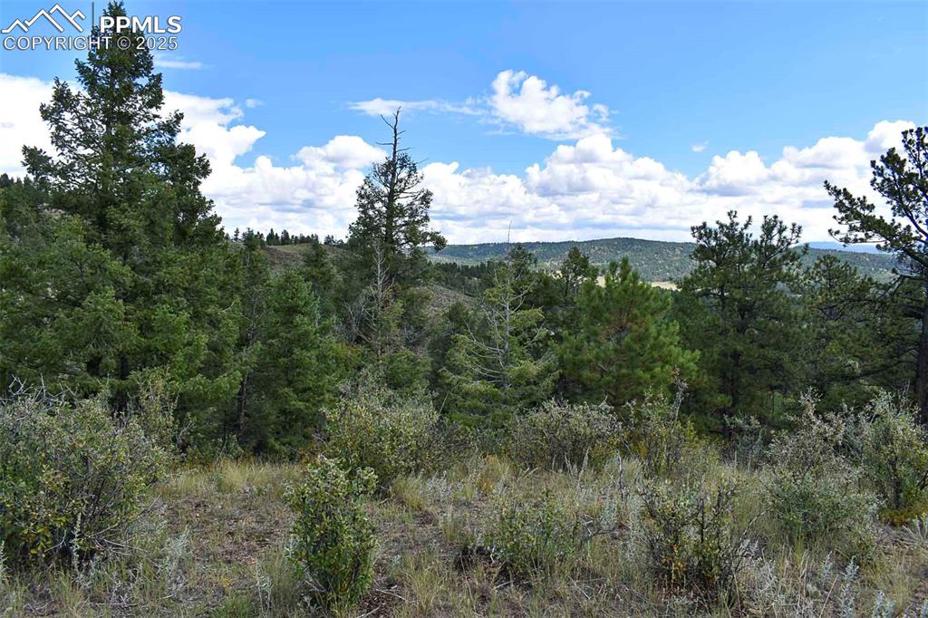 Image 19 of 34: View