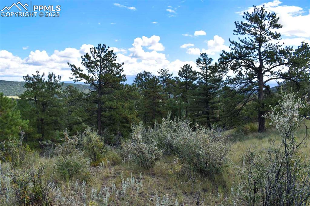 Image 20 of 34: Other