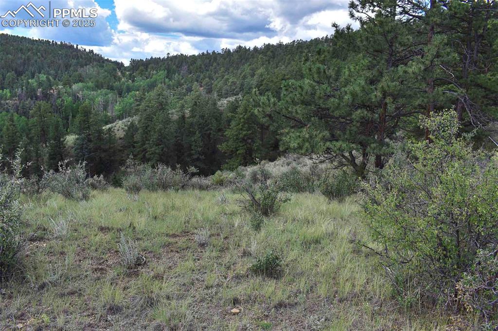 Image 23 of 34: View