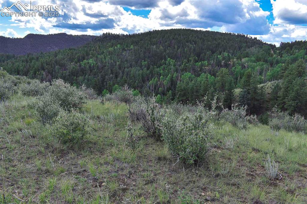 Image 24 of 34: View