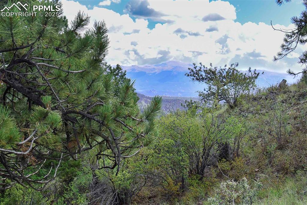 Image 25 of 34: View