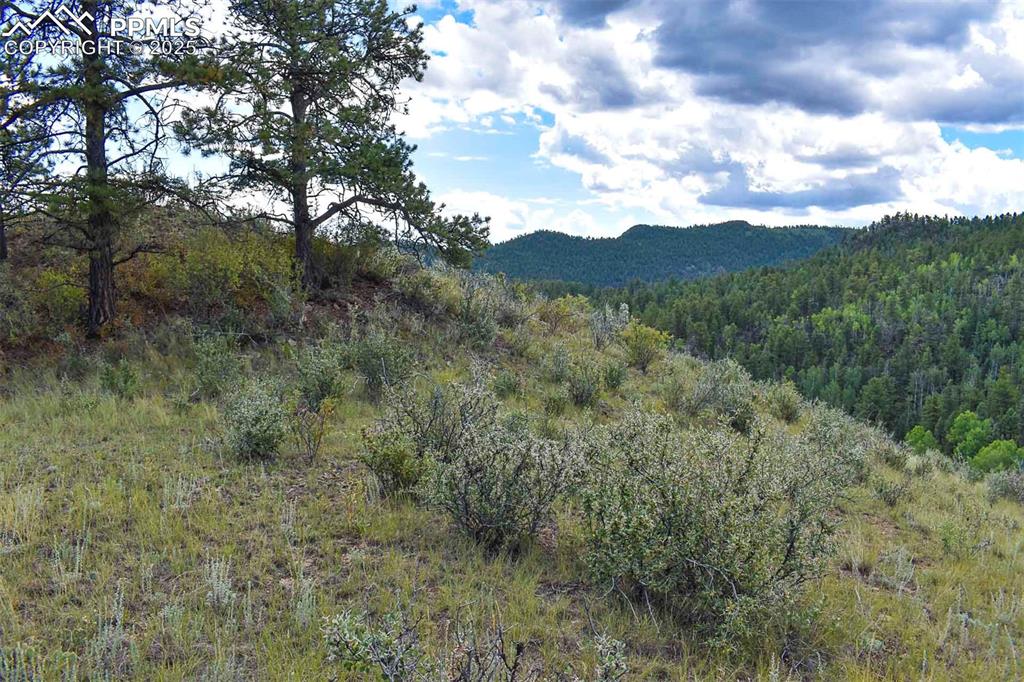 Image 26 of 34: View