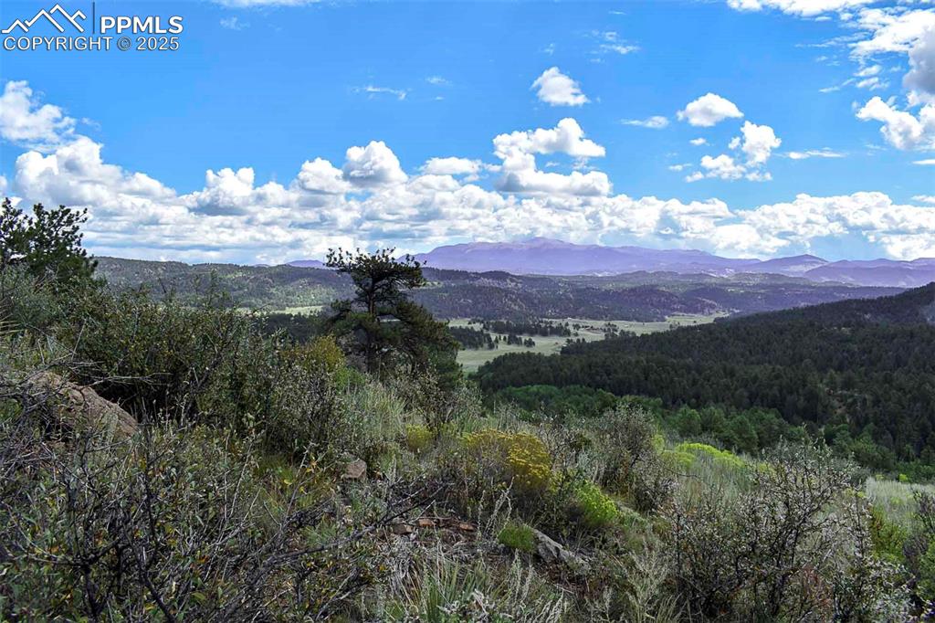 Image 27 of 34: View