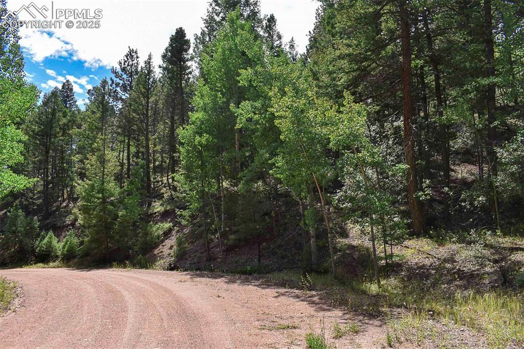 Image 3 of 34: Community