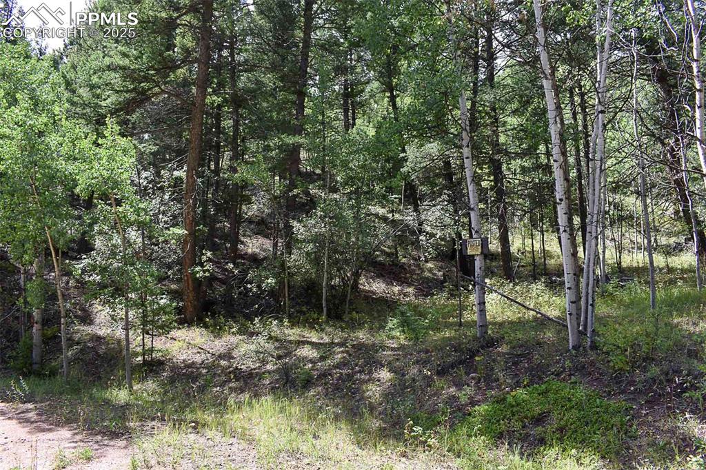 Image 30 of 34: Other