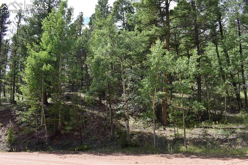 Image 31 of 34: Other