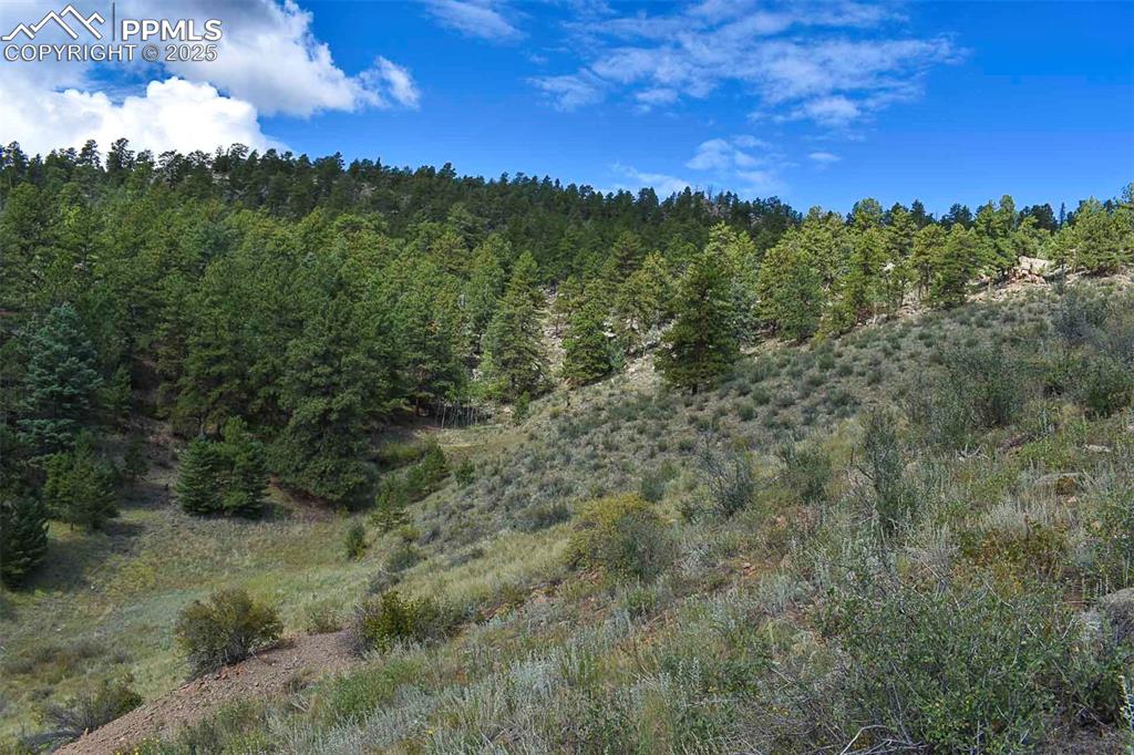 Image 7 of 34: Other