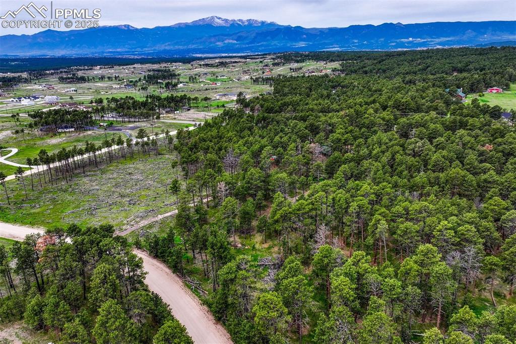 Image 11 of 21: Aerial View